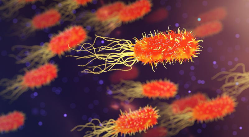 5 Incredible Scientific Discoveries That Could Change Everything 5 Incredible Scientific Discoveries That Could Change Everything