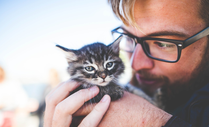 Cat Care 101: Essential Tips for First-Time Cat Owners