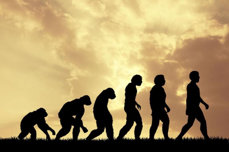 The Science of Evolution: Understanding the Origins and Diversity of Life The Science of Evolution: Understanding the Origins and Diversity of Life