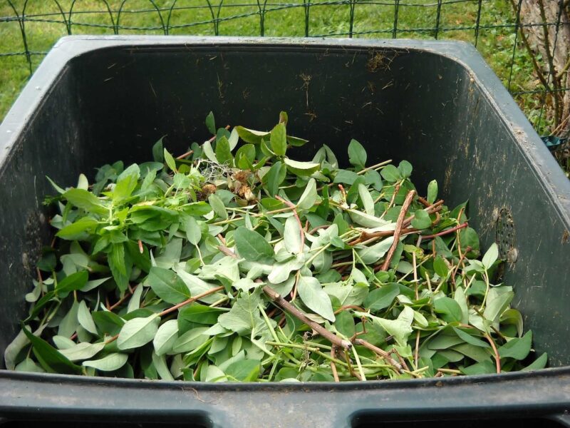 A Guide to Composting at Home: Turning Waste into Nutrients A Guide to Composting at Home: Turning Waste into Nutrients