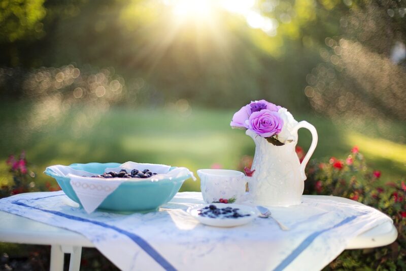 The Science of Probiotics: What They Are and Why You Need Them The Science of Probiotics: What They Are and Why You Need Them