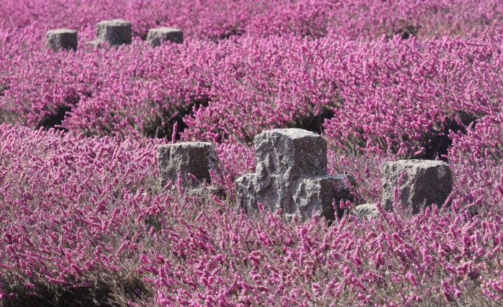 How World War II Shaped Modern Technology and Innovation