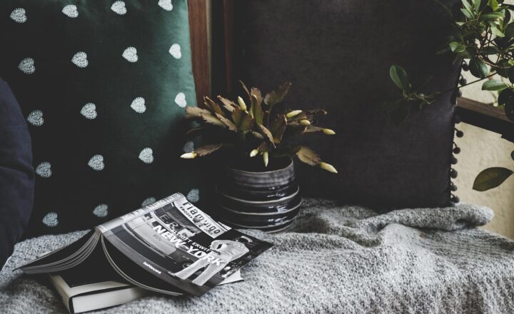 How to Host the Perfect Movie Night at Home: Tips for a Cozy Experience
