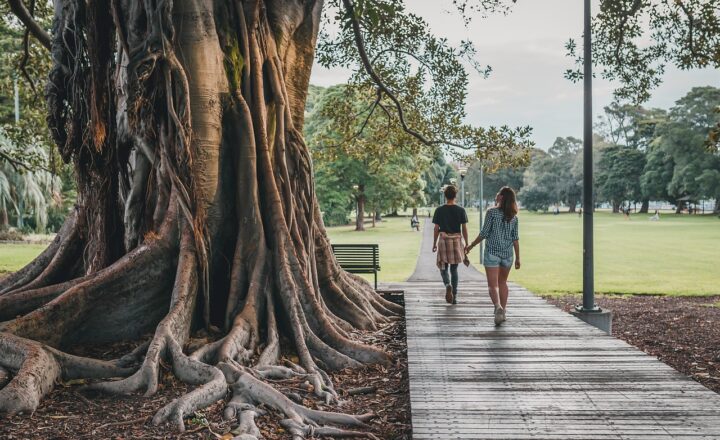 The Importance of Self-Discipline