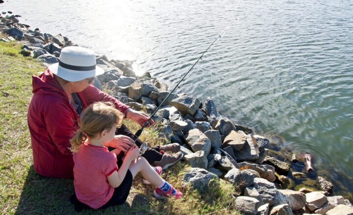 How to Find the Right Mentor for Your Career