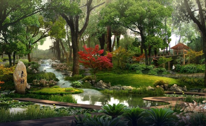 The Power of Visualization: How It Can Help You Achieve Your Goals