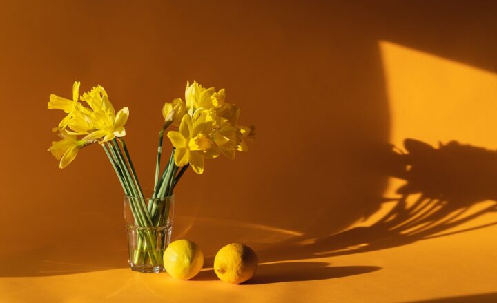 The Reality of Moving Back Home After College