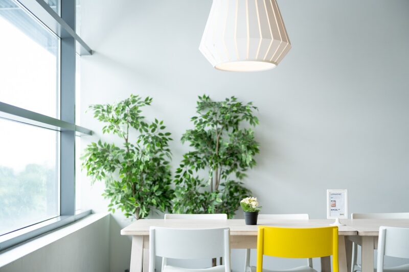 Why Minimalism Could Be the Key to Finding Happiness
