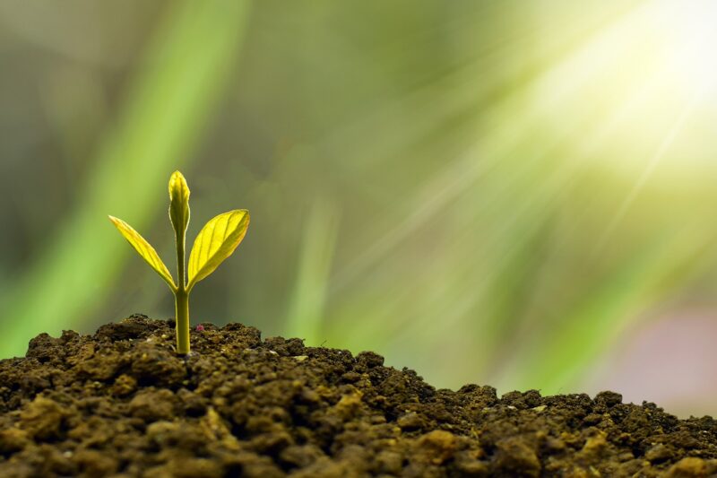 How to Build Wealth Even on a Modest Income How to Build Wealth Even on a Modest Income