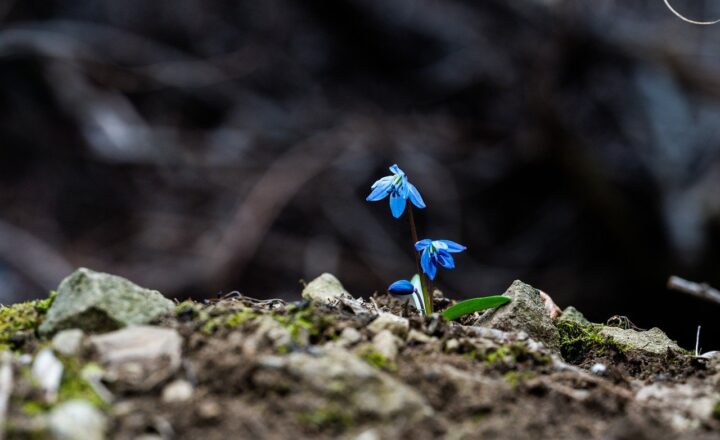 The Power of Habits: How Small Actions Lead to Big Changes