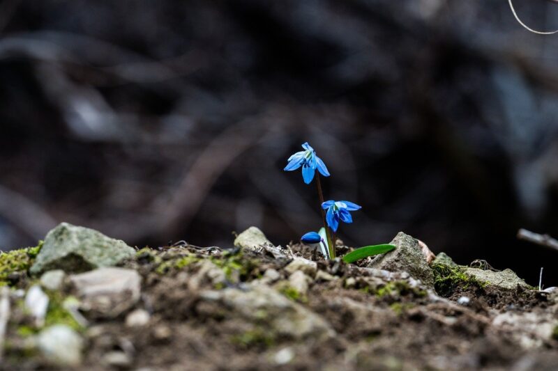 The Power of Habits: How Small Actions Lead to Big Changes The Power of Habits: How Small Actions Lead to Big Changes