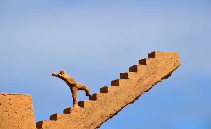 How to Turn Setbacks into Opportunities for Growth