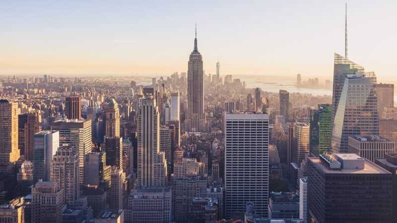How Trees Benefit Cities Beyond Just Air Quality