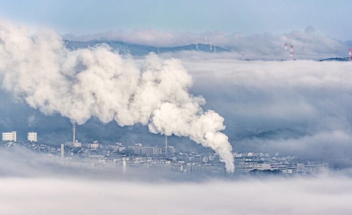 What Is Carbon Offsetting and Does It Actually Help?