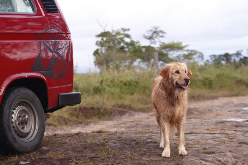 The Rise of Van Life: What’s Driving the Nomadic Movement? The Rise of Van Life: What’s Driving the Nomadic Movement?