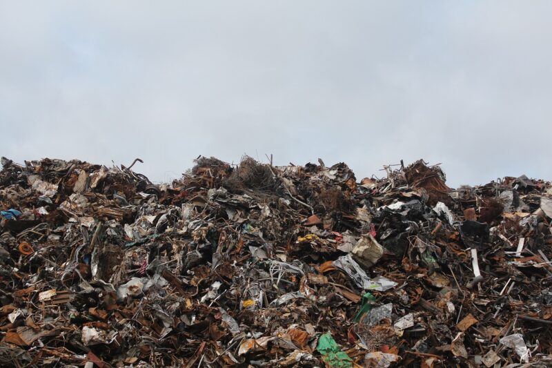 Food Waste and Our Planet: How Small Changes Can Make a Big Impact Food Waste and Our Planet: How Small Changes Can Make a Big Impact