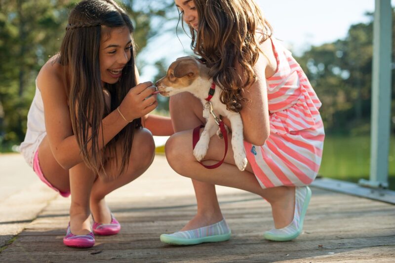 Why Pets Can Improve Your Mental Health and Reduce Stress Why Pets Can Improve Your Mental Health and Reduce Stress