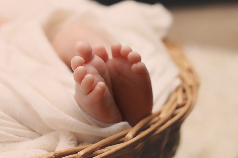 How to Prepare Your Pet for a New Baby in the House How to Prepare Your Pet for a New Baby in the House