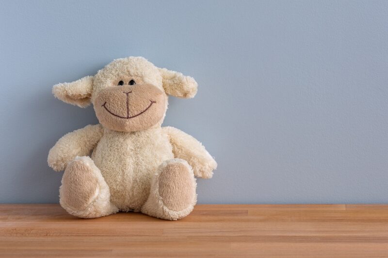 How to Choose the Right Toys for Your Pet’s Size and Personality How to Choose the Right Toys for Your Pet’s Size and Personality