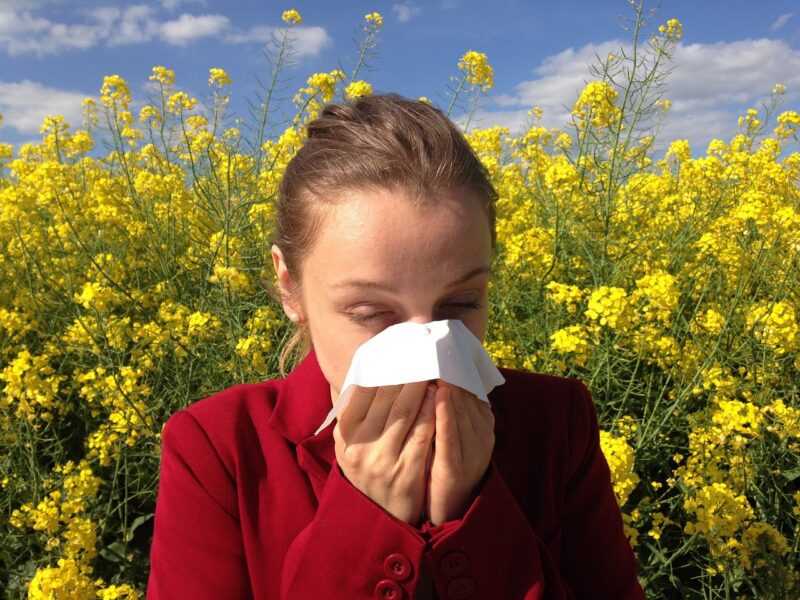 How to Spot the Signs of Pet Allergies and What You Can Do About It