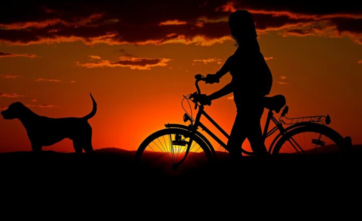 How to Choose the Perfect Pet for Your Lifestyle and Personality