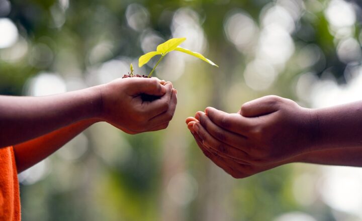 The Power of Compliments: How to Make People Feel Good and Strengthen Bonds