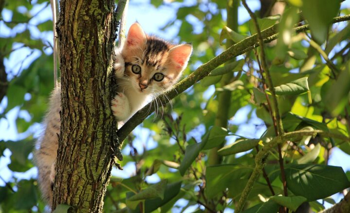 Why Curiosity Makes You Instantly More Attractive and Interesting to Others
