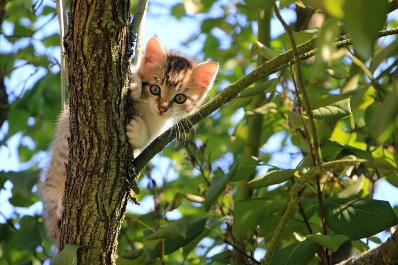 Why Curiosity Makes You Instantly More Attractive and Interesting to Others Why Curiosity Makes You Instantly More Attractive and Interesting to Others