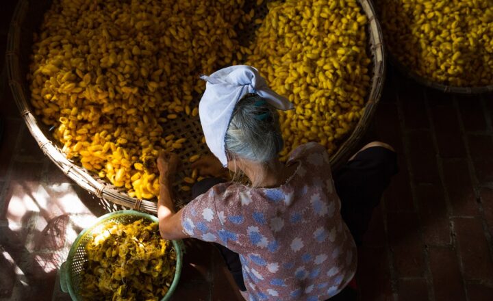 How Laws Are Made: The Legislative Process Explained