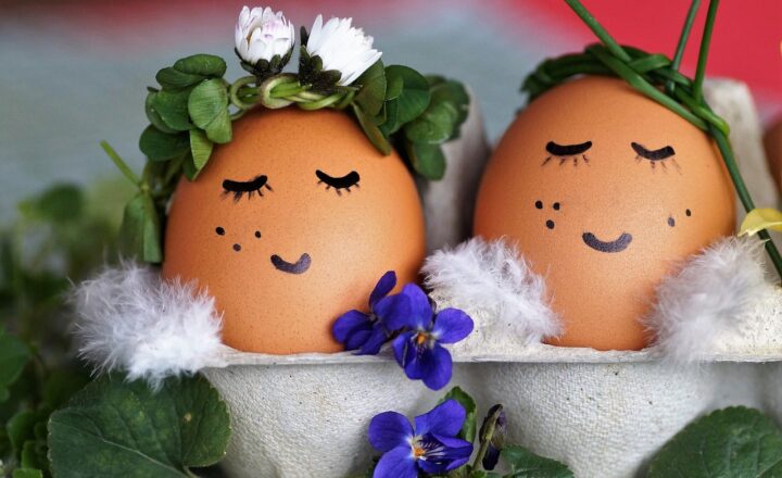 The Science Behind Habit Formation: How to Build Positive Habits and Break Bad Ones
