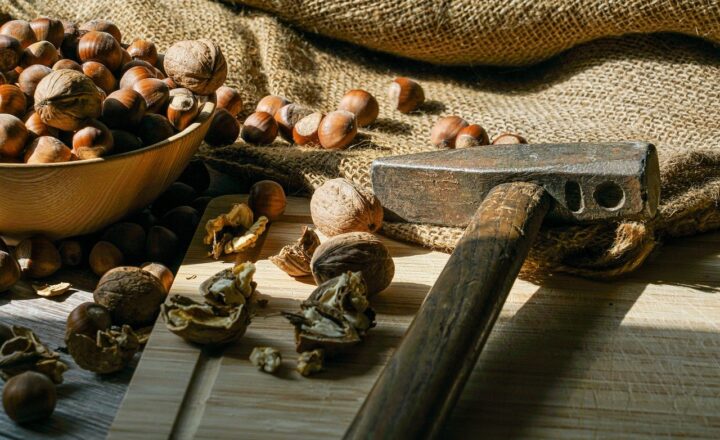 Exploring the Benefits of a Plant-Based Diet: Health, Environmental, and Ethical Reasons