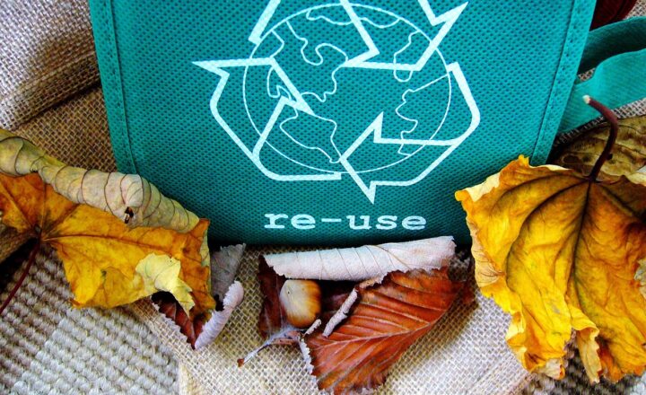 The Importance of Recycling and Reducing Waste for a Cleaner Planet