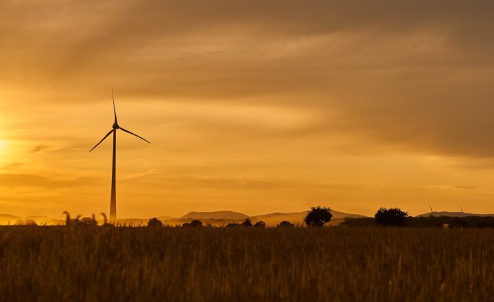 How to Develop an Eco-Friendly Home on a Budget with DIY Projects