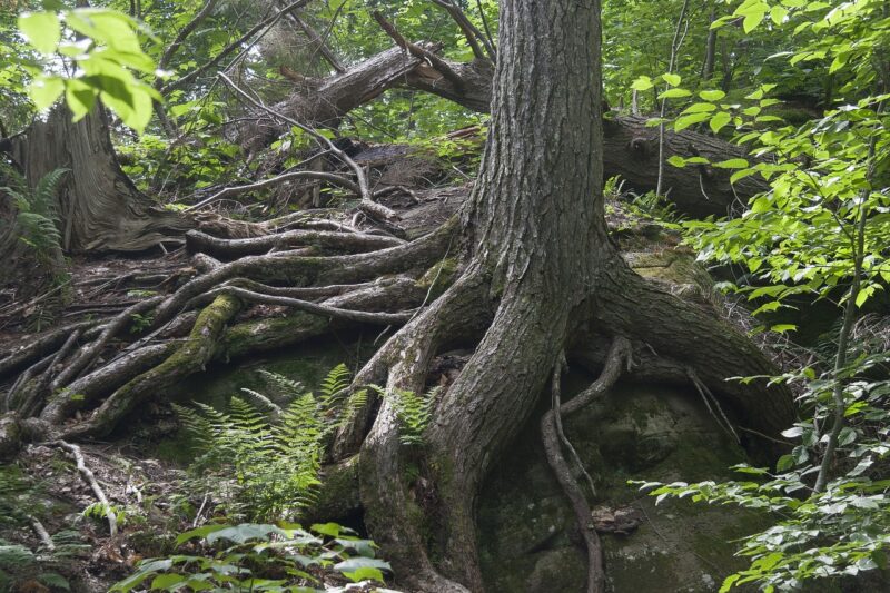 Why Emotional Resilience Is Important: How to Bounce Back from Life’s Setbacks Why Emotional Resilience Is Important: How to Bounce Back from Life’s Setbacks