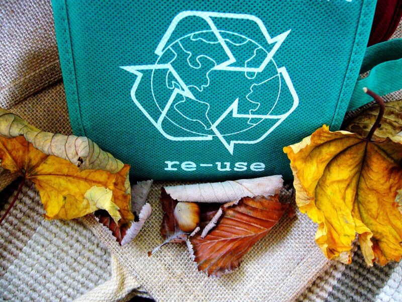 Why Recycling Matters: The Environmental Benefits of Reducing Waste