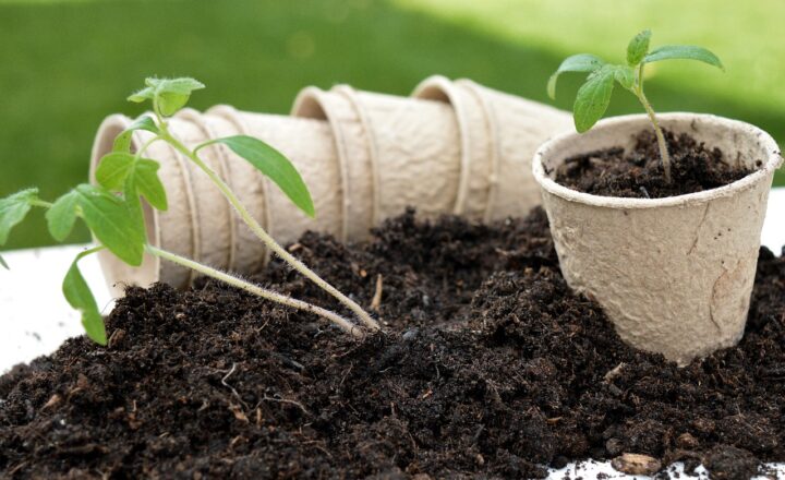 10 Steps to a Greener, More Sustainable Home