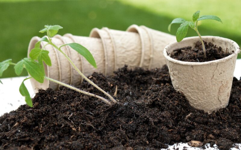 10 Steps to a Greener, More Sustainable Home