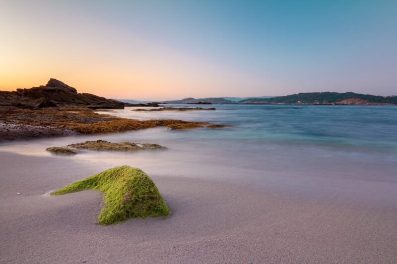 How to Improve Your Focus with Mindfulness Techniques How to Improve Your Focus with Mindfulness Techniques