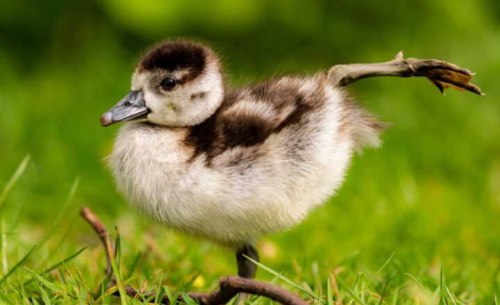 The Benefits of Adding Stretching to Your Daily Routine