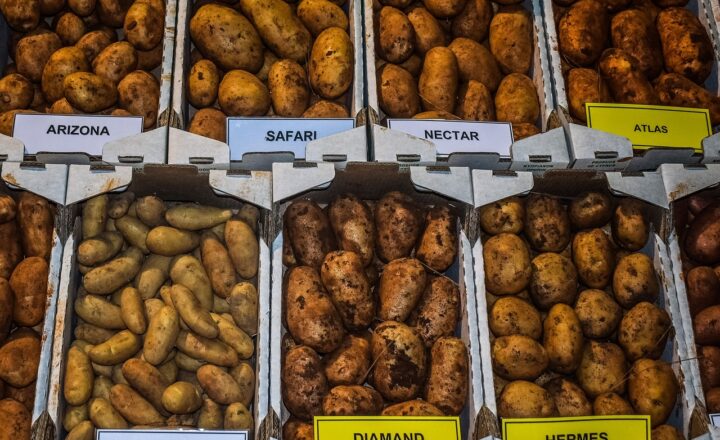 Understanding the Benefits of Plant-Based Diets