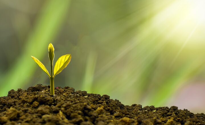 How to Start Investing with Little Money