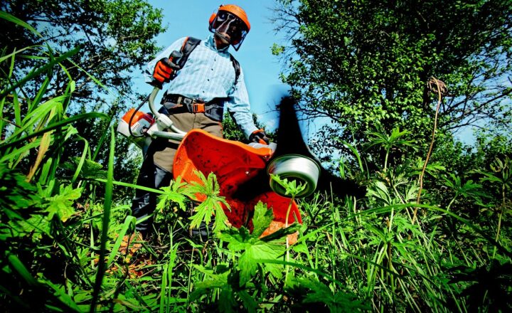 10 Essential Gardening Tools for Beginners