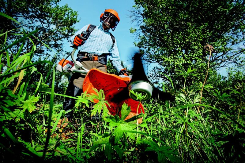 10 Essential Gardening Tools for Beginners 10 Essential Gardening Tools for Beginners