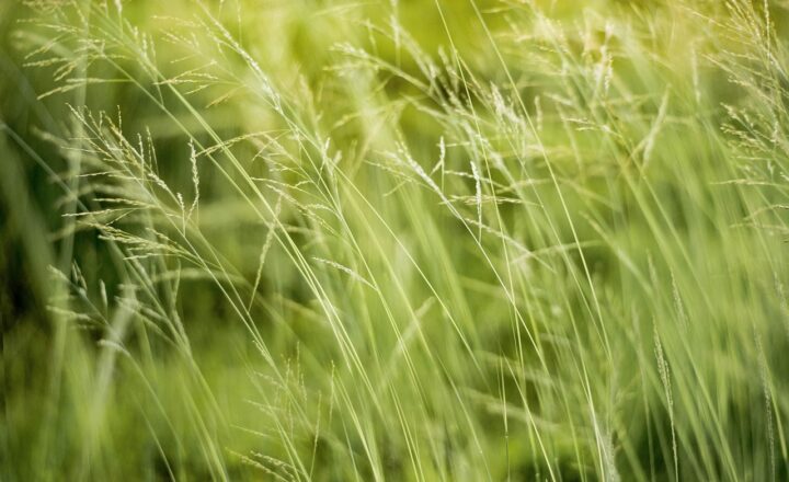 How to Make Your Home More Eco-Friendly with Small Changes