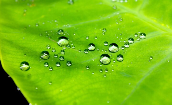 Top Waterproof Gadgets for Beach and Pool Lovers