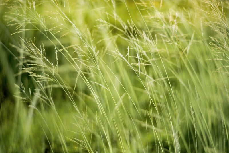 Eco-Friendly Gadgets That Help Reduce Your Carbon Footprint Eco-Friendly Gadgets That Help Reduce Your Carbon Footprint