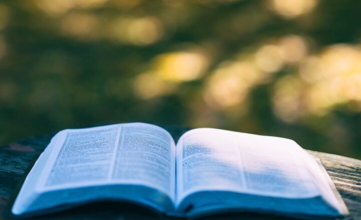 The Top 10 Books to Spark Your Creativity and Inspire Writing