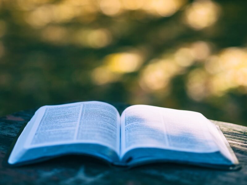 The Top 10 Books to Spark Your Creativity and Inspire Writing The Top 10 Books to Spark Your Creativity and Inspire Writing