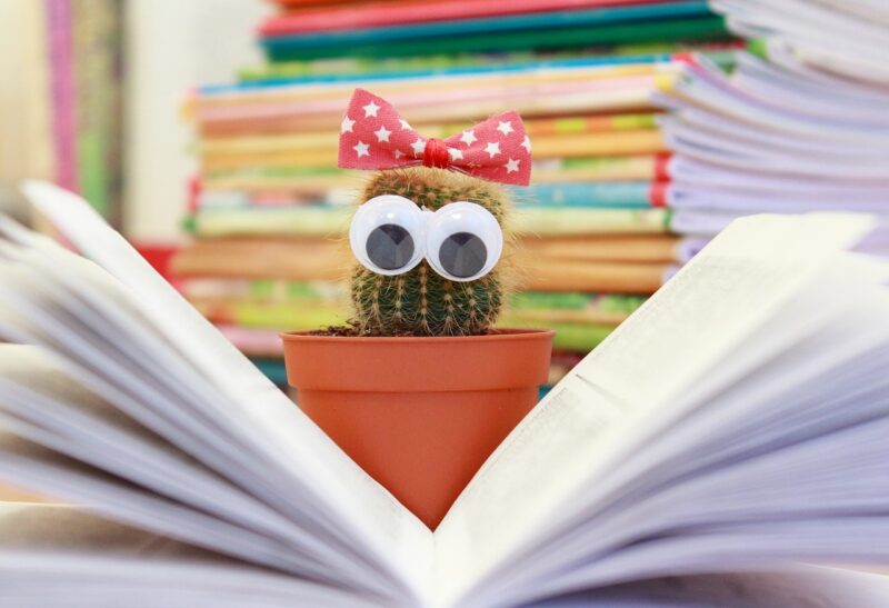 Understanding Character Development in Literature: What Makes a Great Character? Understanding Character Development in Literature: What Makes a Great Character?