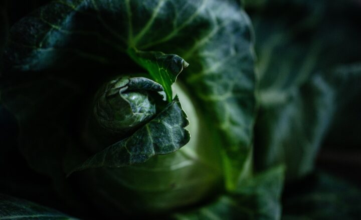 How to Make Your Groceries Last Longer with These Simple Tips